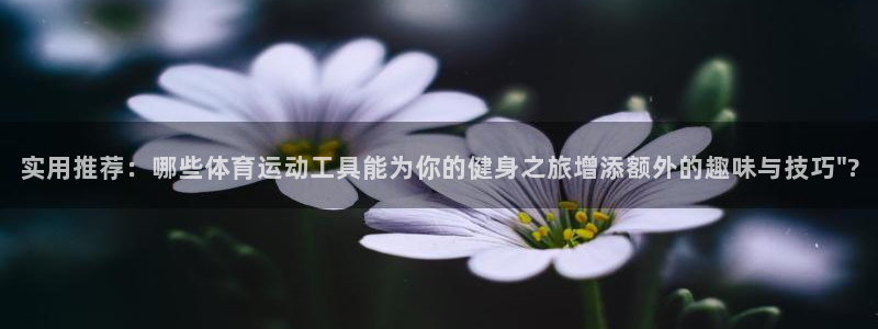 谈球吧体育