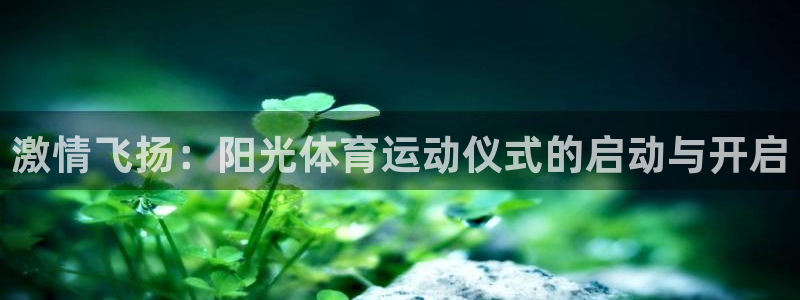 谈球吧体育官网：激情飞扬：阳光体育运动仪式的启动与开启