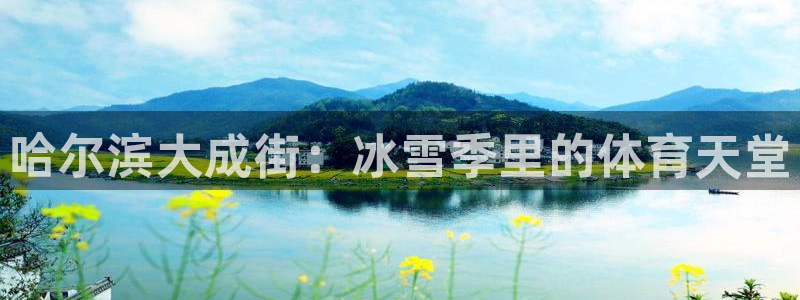 谈球吧体育：哈尔滨大成街：冰雪季里的体育天堂