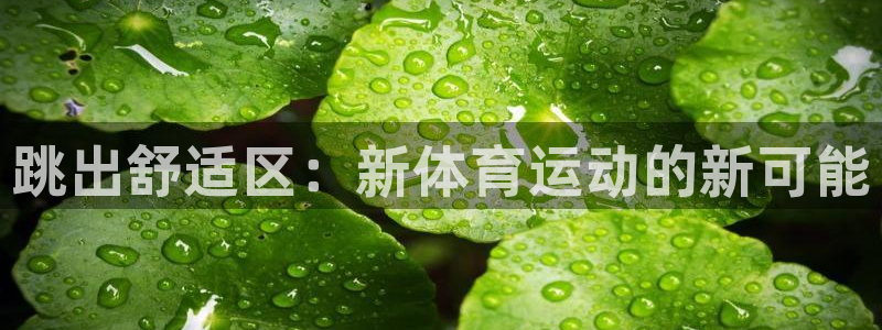 谈球吧：跳出舒适区：新体育运动的新可能
