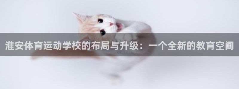 谈球吧体育