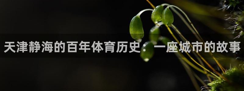 谈球吧体育