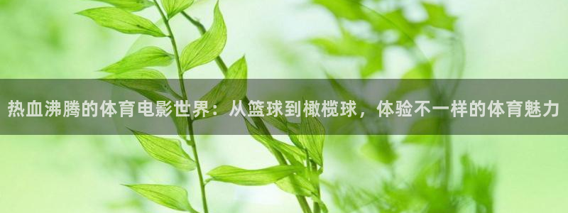 谈球吧：热血沸腾的体育电影世界：从篮球到橄榄球，体验不一样的体育魅力