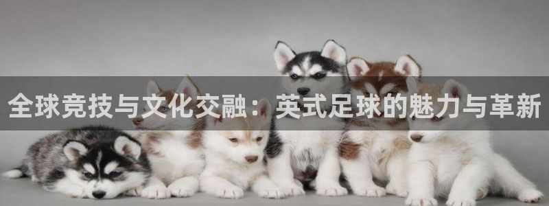 谈球吧体育：全球竞技与文化交融：英式足球的魅力与革新