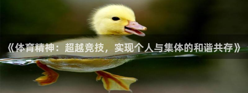 谈球吧体育官网：《体育精神：超越竞技，实现个人与集体的和谐共存》
