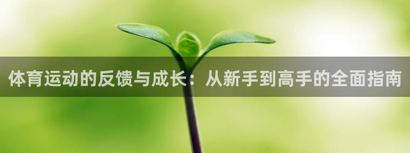 谈球吧体育：体育运动的反馈与成长：从新手到高手的全面指南