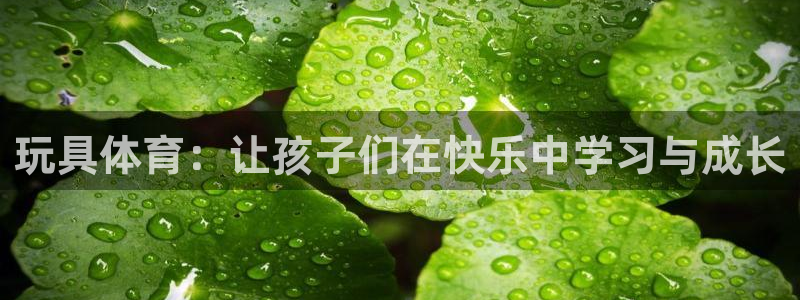 谈球吧体育官网：玩具体育：让孩子们在快乐中学习与成长